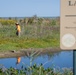 Port Clinton, Ohio Invasive Plant Treatment