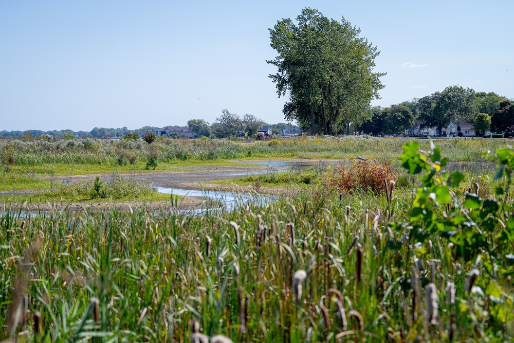 Port Clinton, Ohio Invasive Plant Treatment