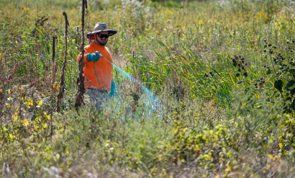 Port Clinton, Ohio Invasive Plant Treatment