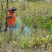 Port Clinton, Ohio Invasive Plant Treatment