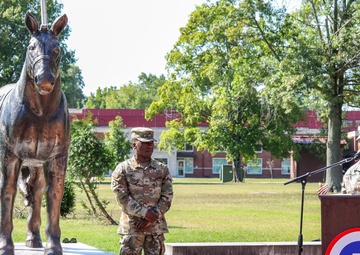 1st TSC Soldier promotes to sergeant