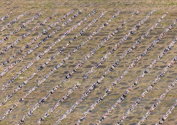 Boot Memorial Hero &amp; Remembrance Run 2024