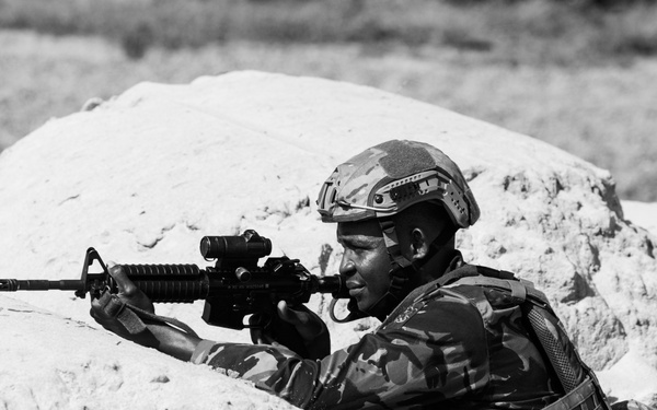 Big One - Joint Base Defense Exercise