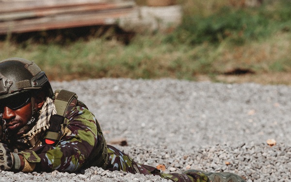 Big One - Joint Base Defense Exercise