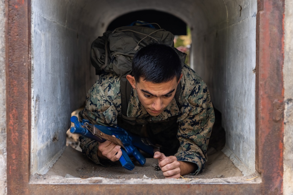II MEF Marines Conduct Obstacle Course with Swedish Marines