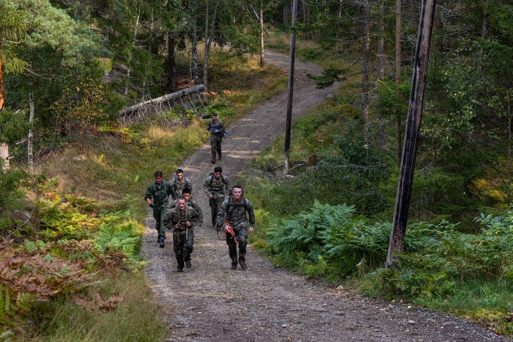 II MEF Marines Conduct Obstacle Course with Swedish Marines