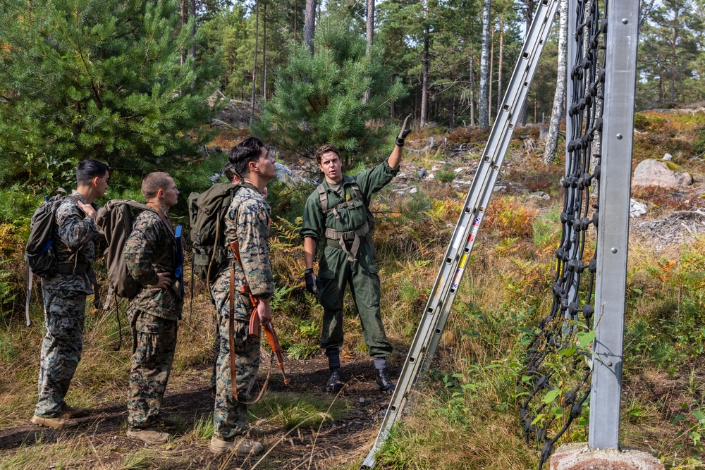 II MEF Marines Conduct Obstacle Course with Swedish Marines