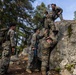 II MEF Marines Conduct Obstacle Course with Swedish Marines