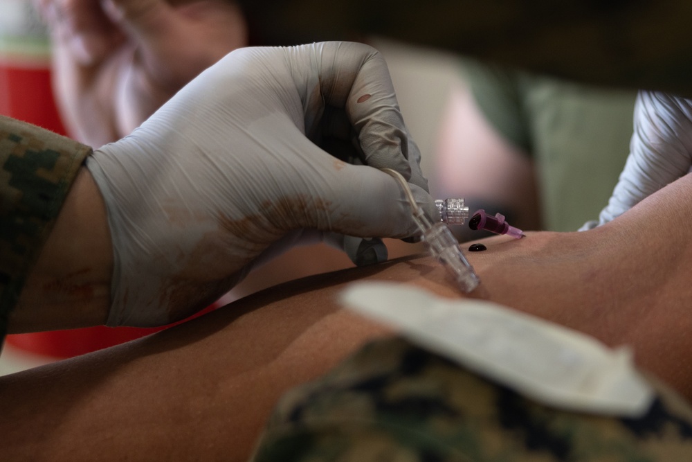 MWSS-271 Marines and Sailors respond to a simulated mass casualty as part of exercise Northern Viking 24