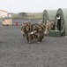 MWSS-271 Marines and Sailors respond to a simulated mass casualty as part of exercise Northern Viking 24