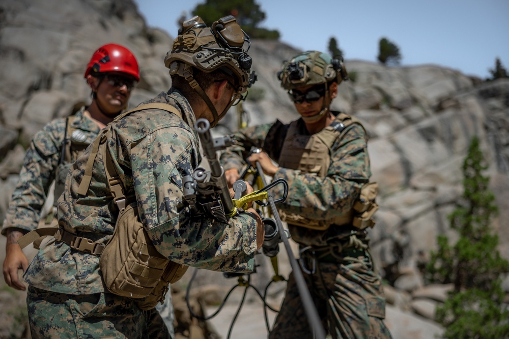 Marines with 2/1 conduct a suspension and traverse exercise