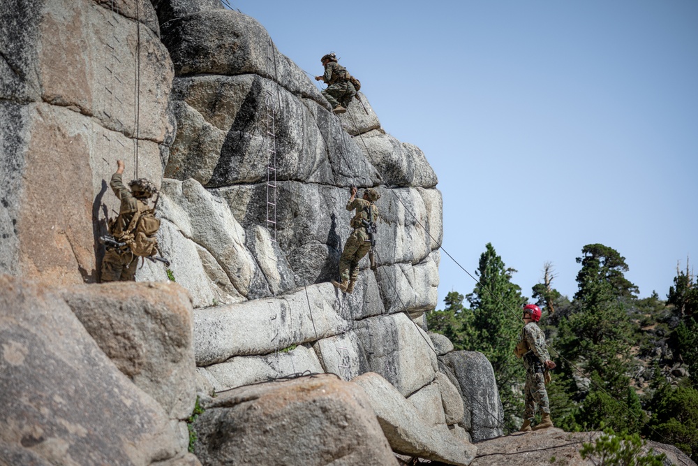 Marines with 2/1 conduct a suspension and traverse exercise