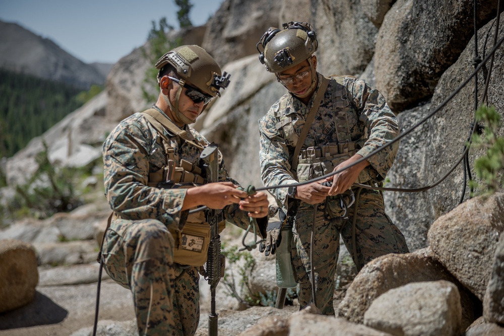 Marines with 2/1 conduct a suspension and traverse exercise