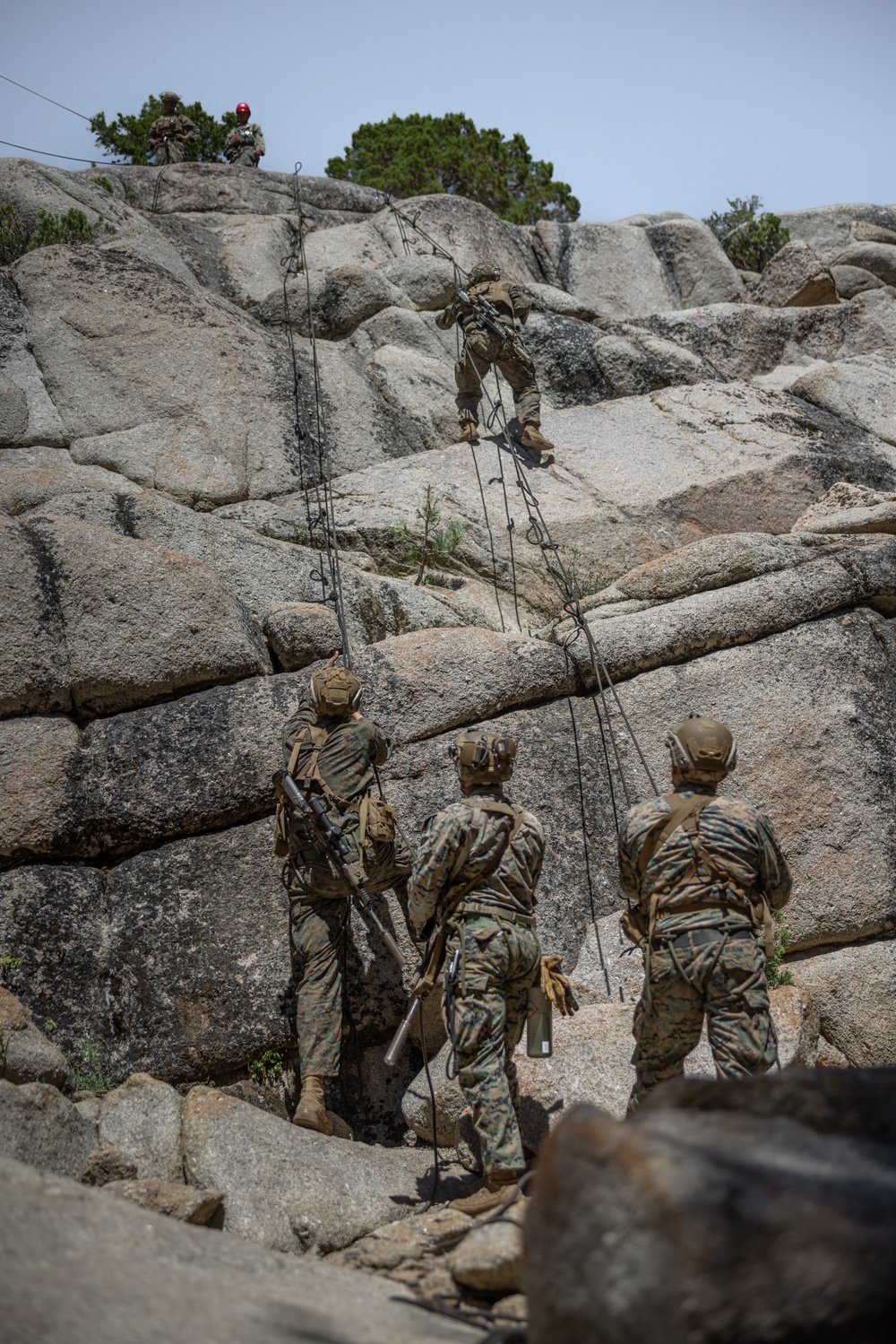 Marines with 2/1 conduct a suspension and traverse exercise