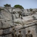 Marines with 2/1 conduct a suspension and traverse exercise