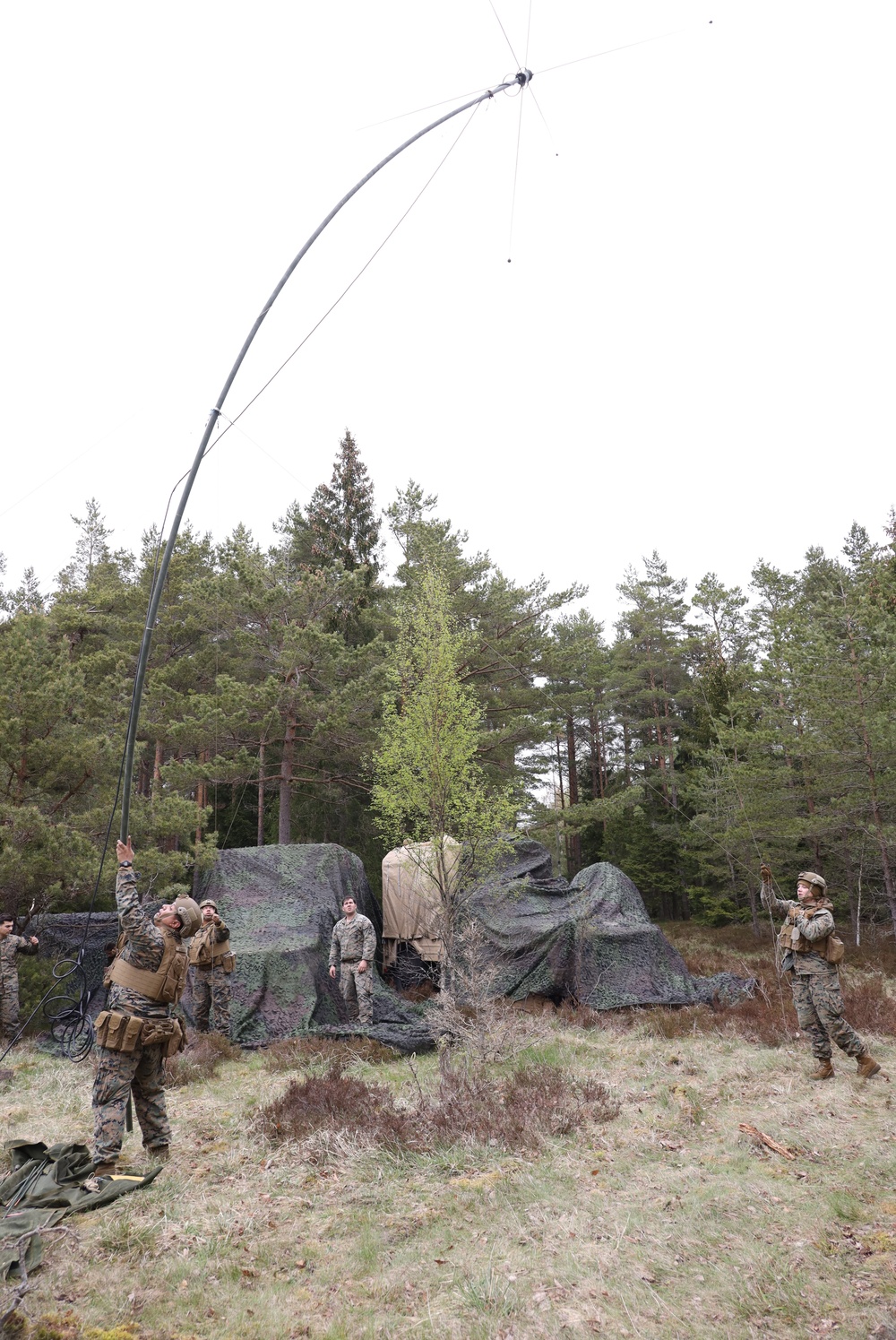 TF-61/2: Exercise Siil, Estonia