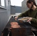 MWSS-271 Marines eat a warrior's meal as a conclusion to exercise Northern Viking 24