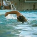2d MARDIV DLAP: 500 Meter Swim