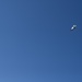 Misawa AB Air Fest 2024