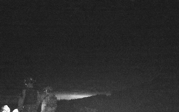 Exercise Northern Strike Lithuanian JTAC Training