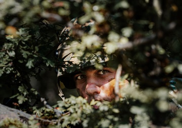 Bosnian infantrymen conduct tactical training at Saber Junction 2024