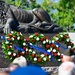9/11 Commemoration Ceremony