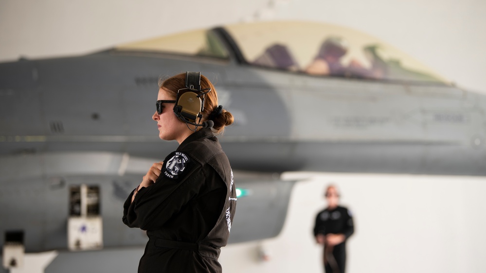 U.S. Air Force aircraft arrive for first Egypt International Airshow