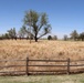 Tinker prairie restoration