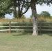 Tinker prairie restoration