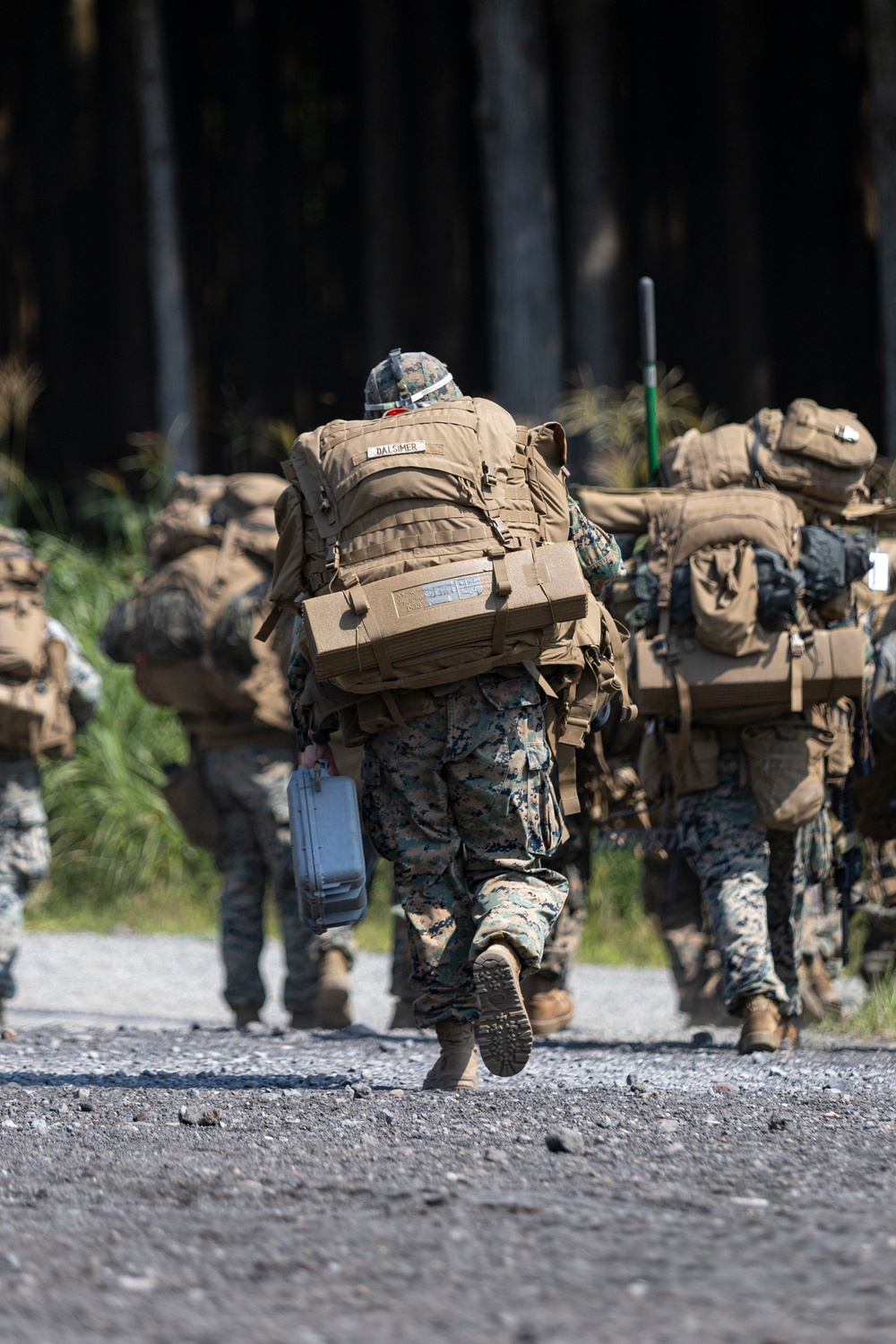 Marines begin training at Camp Fuji in support of Exercise Outlaw Wrath 24