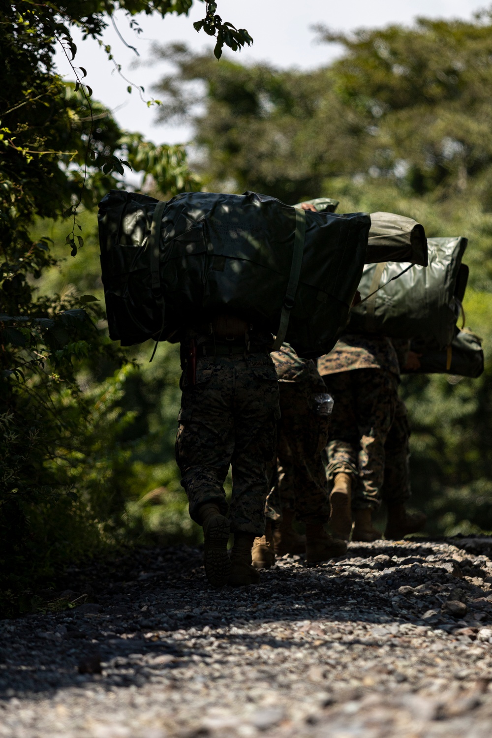 Marines begin training at Camp Fuji in support of Exercise Outlaw Wrath 24