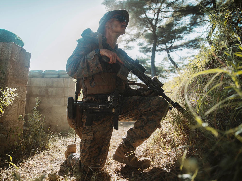 SY 24 | BLT 1/5, ROK Marines Conduct Training at Sadong