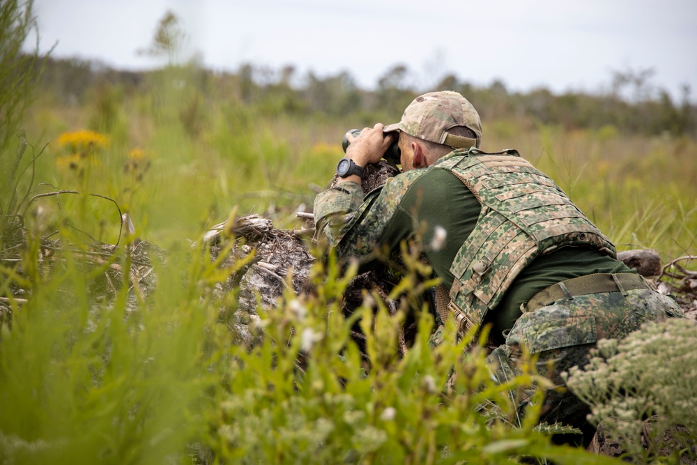 2nd ANGLICO and NATO Allies conduct CAS Training