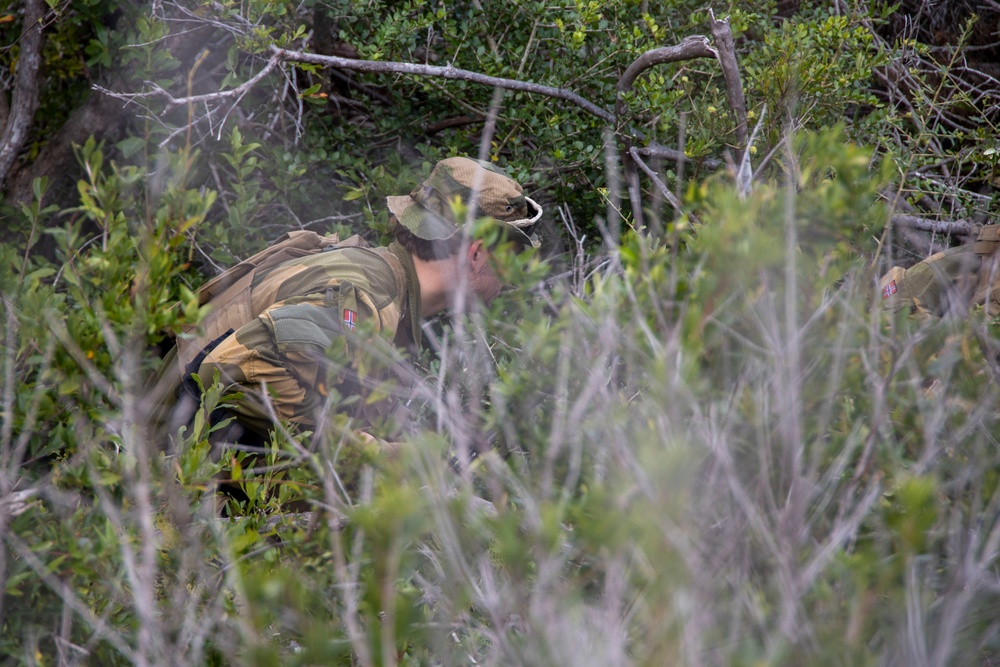 2nd ANGLICO and NATO Allies conduct CAS Training