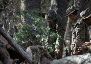 Marines with 2/1 practice survival techniques during Mountain Exercise 5-24