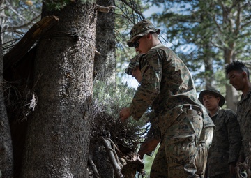 Marines with 2/1 practice survival techniques during Mountain Exercise 5-24
