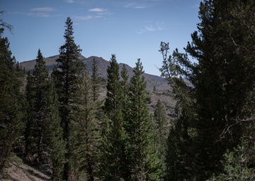 Marines with 2/1 practice survival techniques during Mountain Exercise 5-24