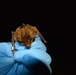 Last of them: fungal disease causes 90% decline in long-eared bat population