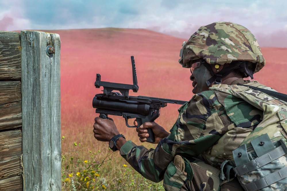 North Dakota National Guard State Best Warrior Competition