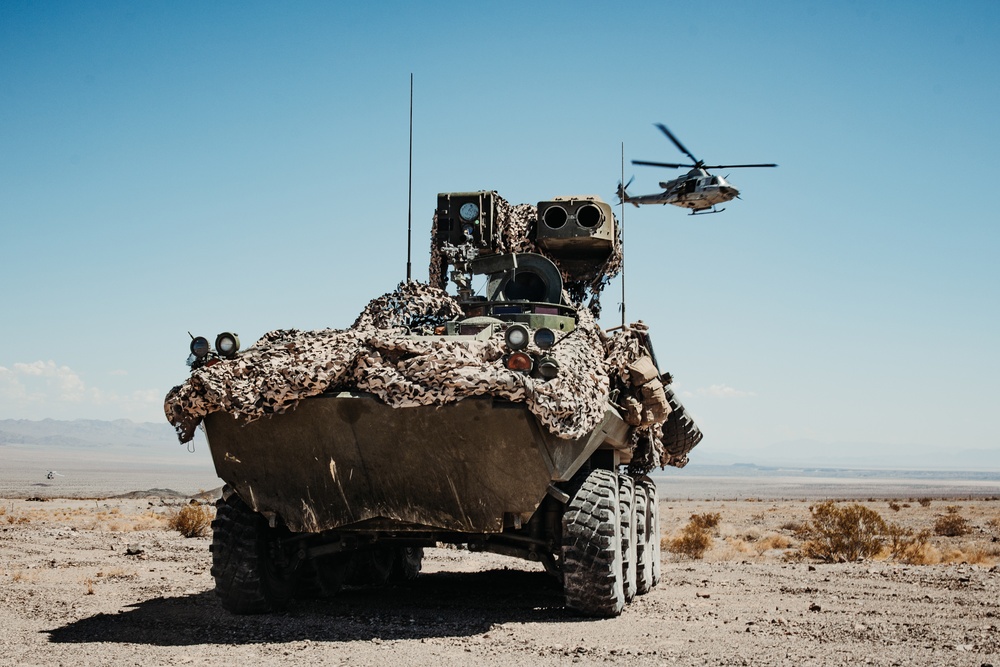 3rd LAR conducts a Marine Corps Combat Readiness Exercise at the Combat Center