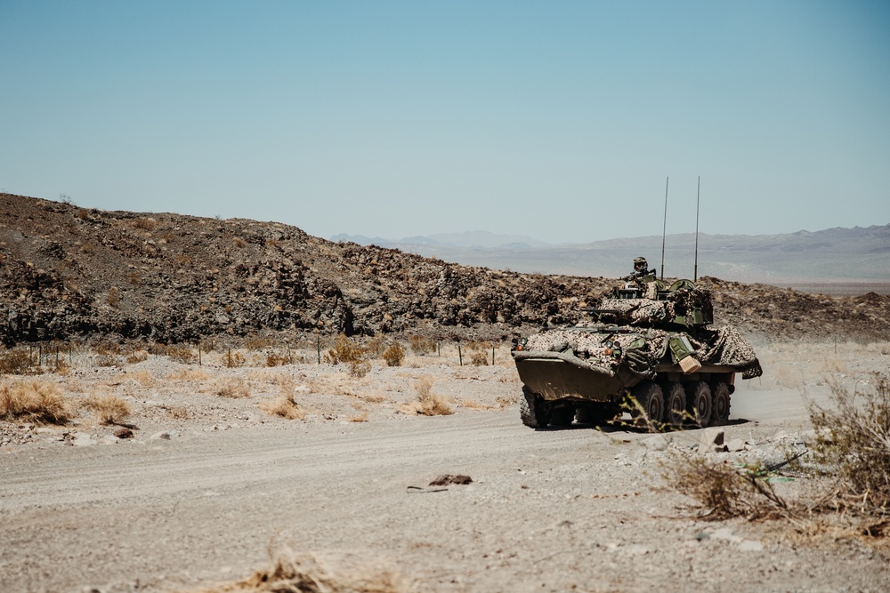 3rd LAR conducts a Marine Corps Combat Readiness Exercise at the Combat Center