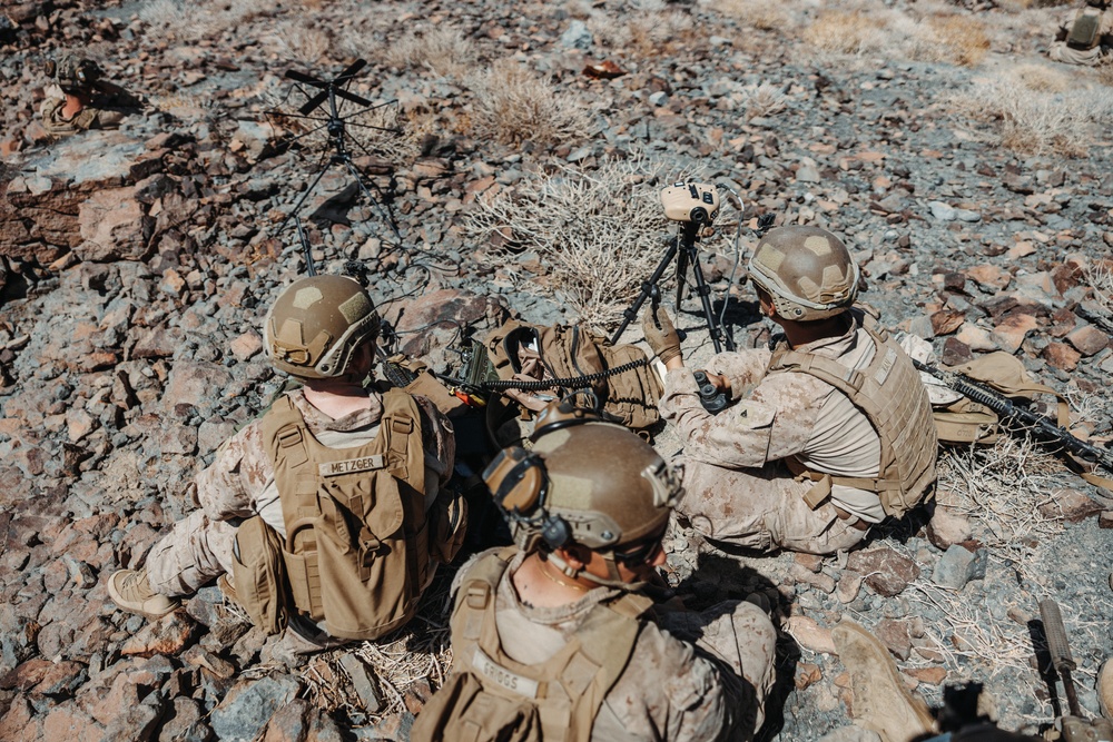 3rd LAR conducts a Marine Corps Combat Readiness Exercise at the Combat Center