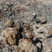 3rd LAR conducts a Marine Corps Combat Readiness Exercise at the Combat Center