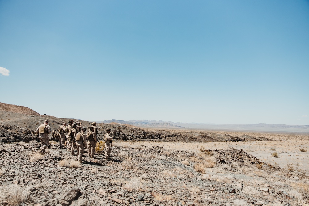 3rd LAR conducts a Marine Corps Combat Readiness Exercise at the Combat Center