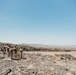 3rd LAR conducts a Marine Corps Combat Readiness Exercise at the Combat Center