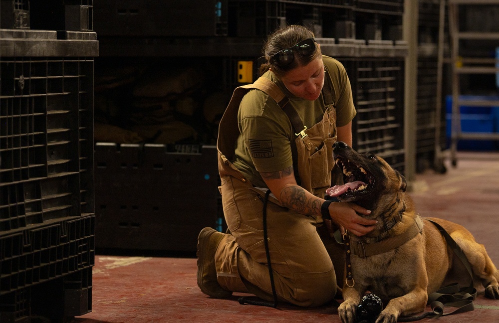 Valor on Four Paws