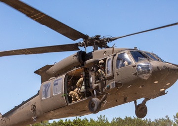 Air Movement to Cordon and Search