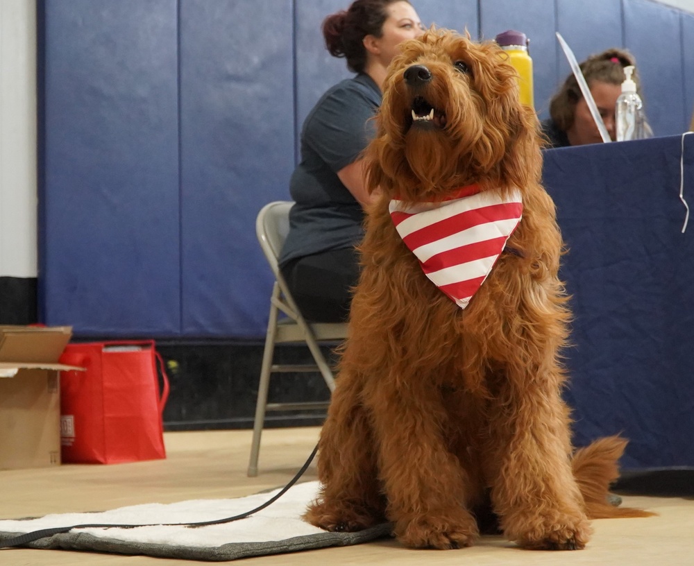 Therapy dog in-training at resource fair