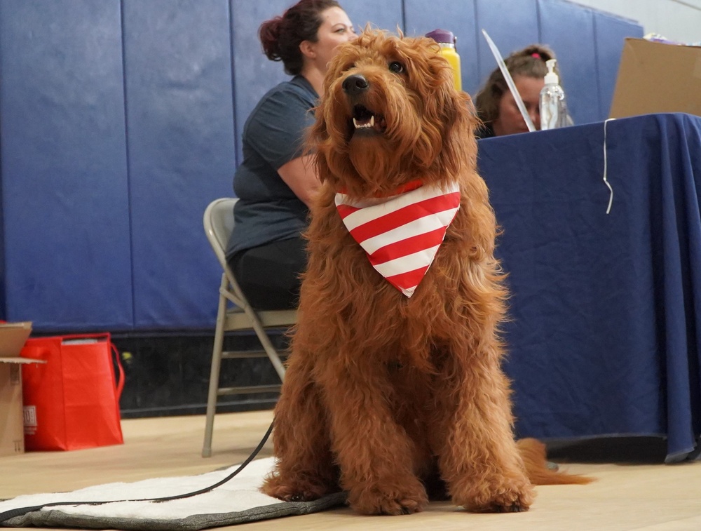 Therapy dog in-training at resource fair