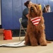 Therapy dog in-training at resource fair